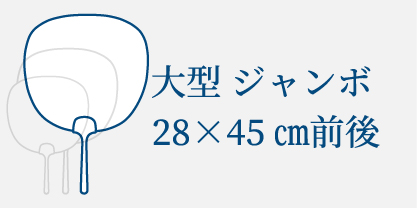 大型（ジャンボ 28×45㎝前後）